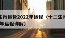十二生肖运势2022年运程（十二生肖运势2022年运程详解）